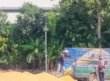 แนะนำแนวทางการขอรับสนับสนุนเงินอุดหนุนและติดตามผลการรวบรวมข้าวเปลือกปีการผลิต 2567/68 ของ สหกรณ์การเกษตรแม่จัน จำกัด ... พารามิเตอร์รูปภาพ 8